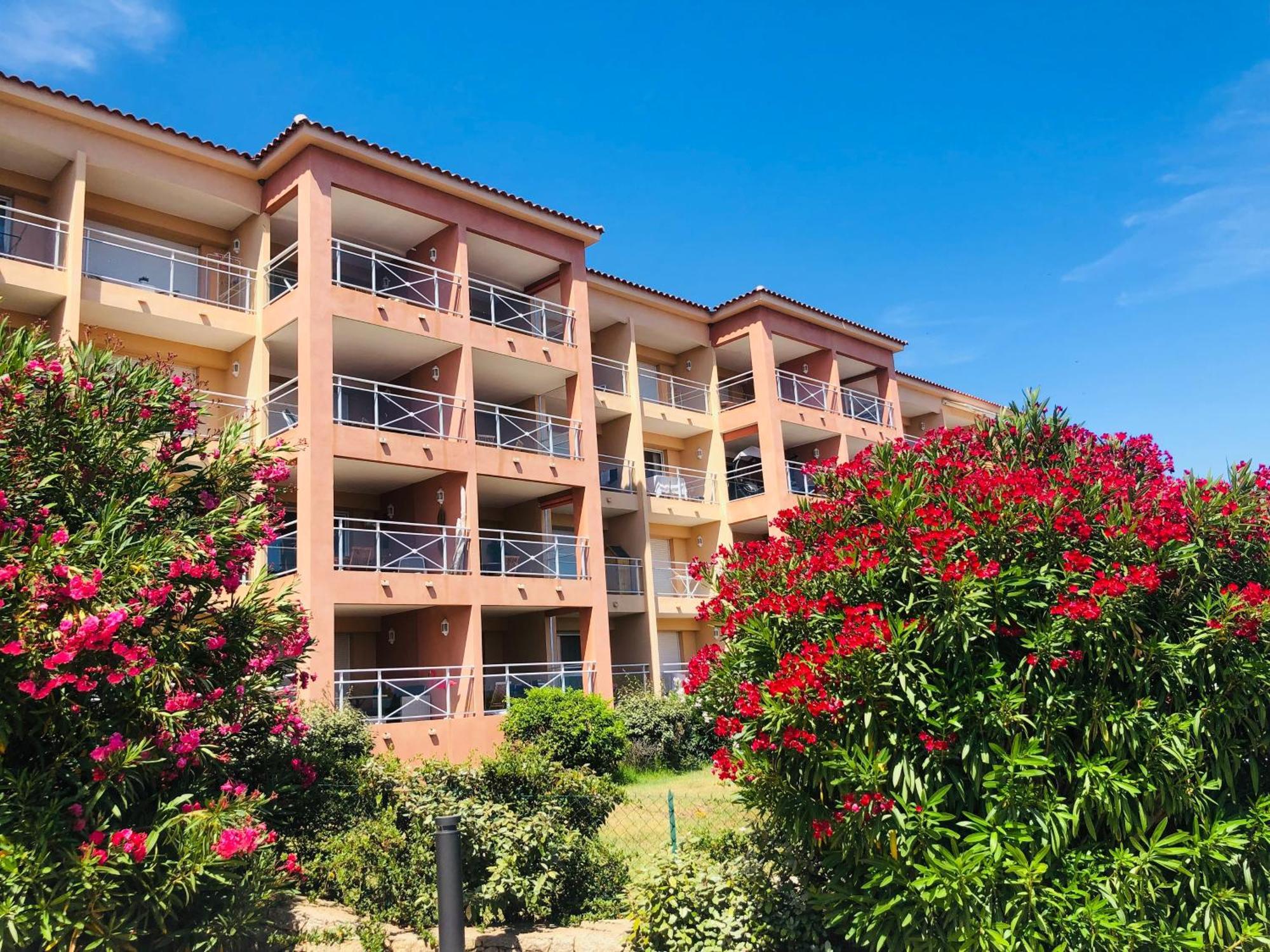 Superbe T2 Vue Mer - Piscine & Plage A 100M Αζάτσιο Εξωτερικό φωτογραφία