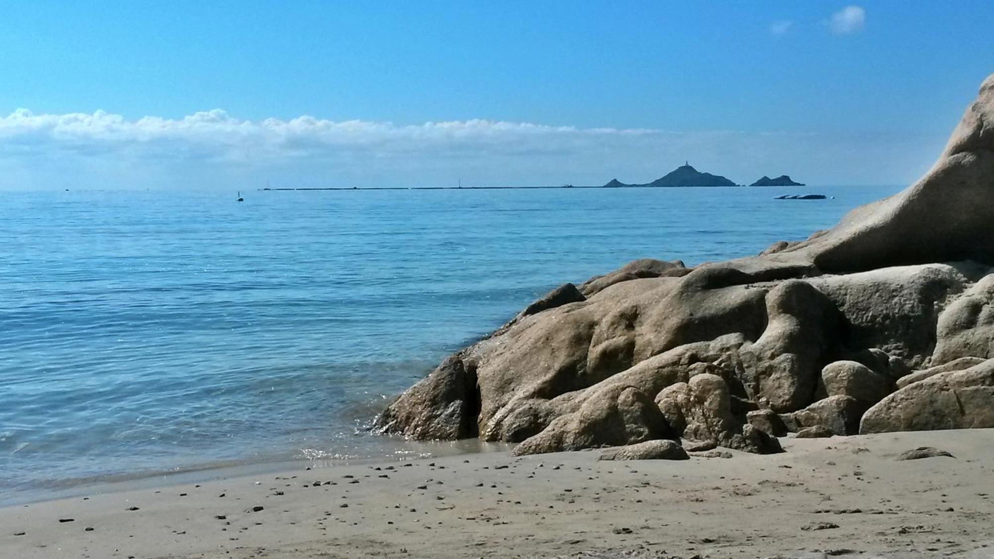 Superbe T2 Vue Mer - Piscine & Plage A 100M Αζάτσιο Εξωτερικό φωτογραφία