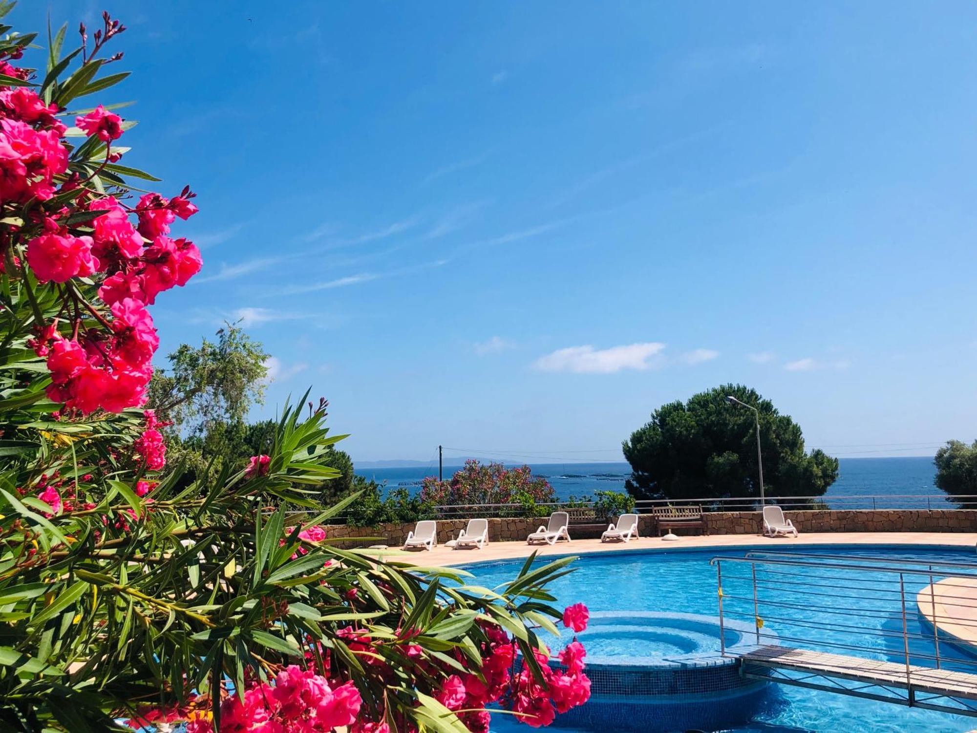 Superbe T2 Vue Mer - Piscine & Plage A 100M Αζάτσιο Εξωτερικό φωτογραφία